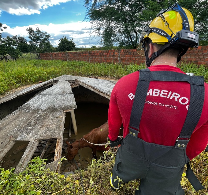 Bombeiros do RN realizam resgate de duas éguas presas em cisterna na zona rural de Mossoró