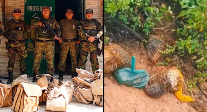 Polícia Ambiental desmantela torneio de caça ilegal no Alto Oeste Potiguar
