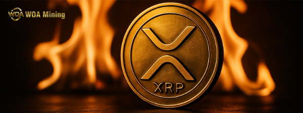 Ganhar US$ 7.500 por dia? A mineração de XRP é lançada junto com a de BTC, e a WoaMining ajuda investidores a obter renda diária com facilidade!
