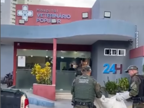 Após denúncia, PM e Abrigo Mossoró resgatam cão abandonado e acorrentado no Parque Verde